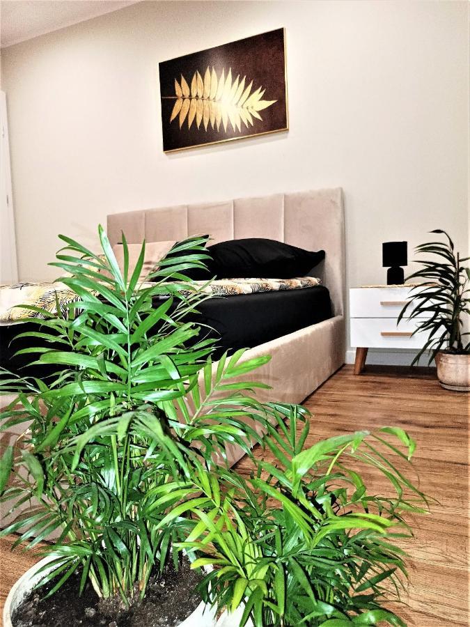 Apartament Przy Kopalni Srebra Tarnowskie Gory Bagian luar foto